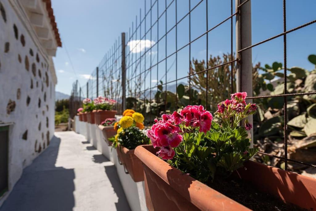 Vivienda Vacacional Ca' Pepita Y Jose El Albercon Luaran gambar