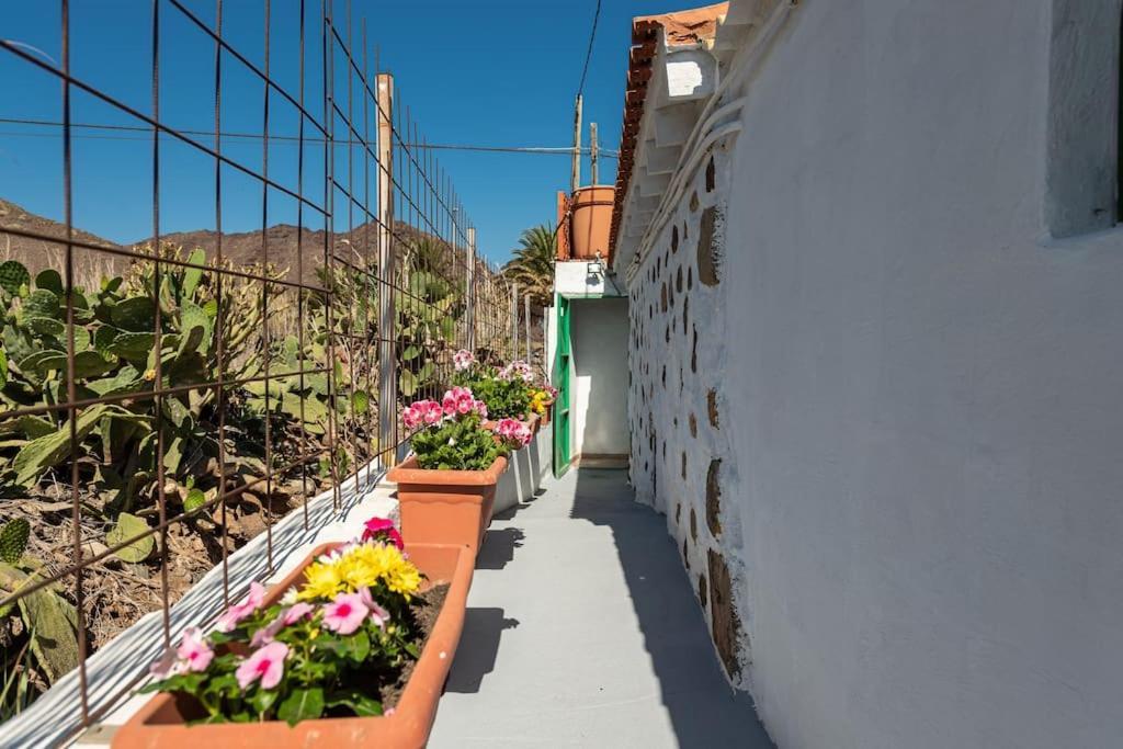 Vivienda Vacacional Ca' Pepita Y Jose El Albercon Luaran gambar