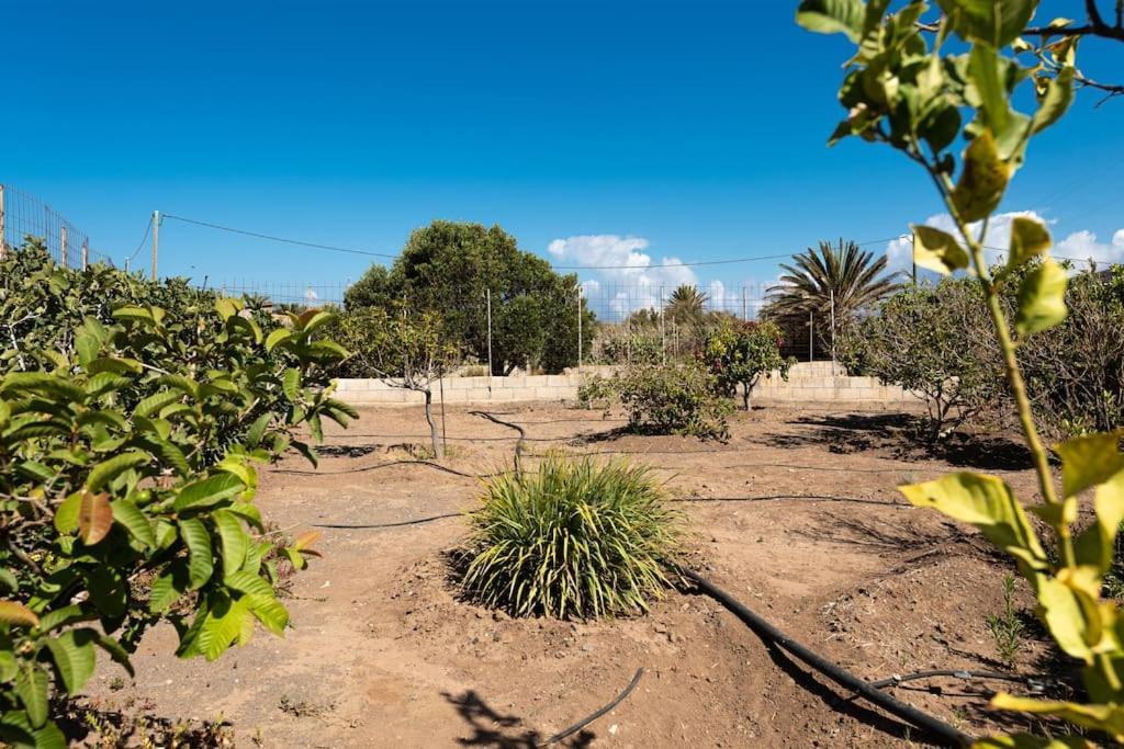 Vivienda Vacacional Ca' Pepita Y Jose El Albercon Luaran gambar